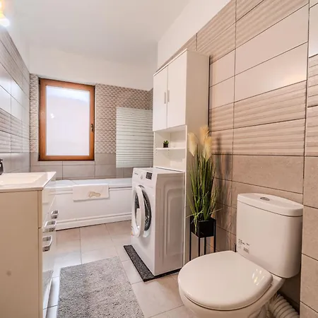 Lucas Apartment Timisoara